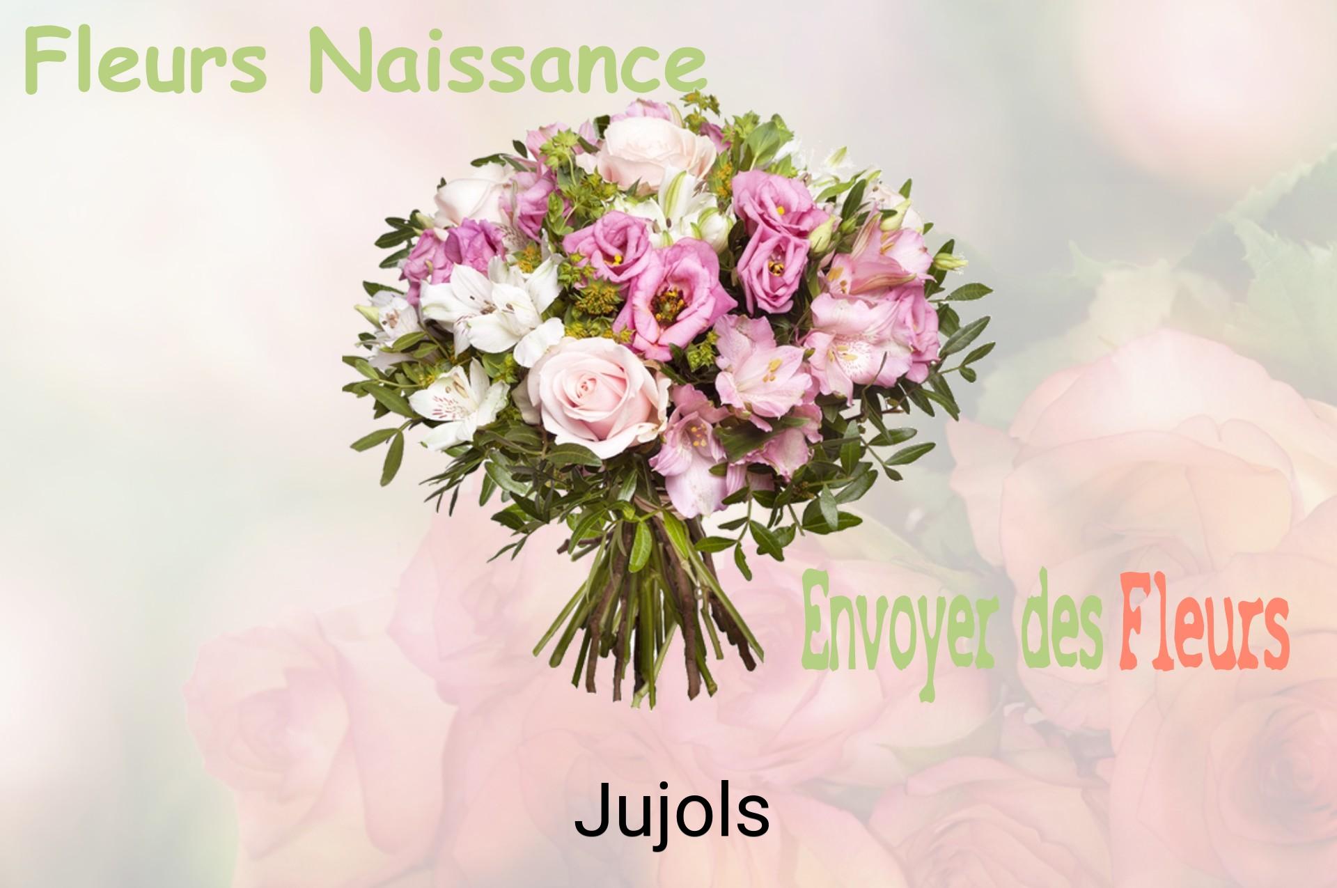 Bouquet de fleurs de naissance livré à Jujols